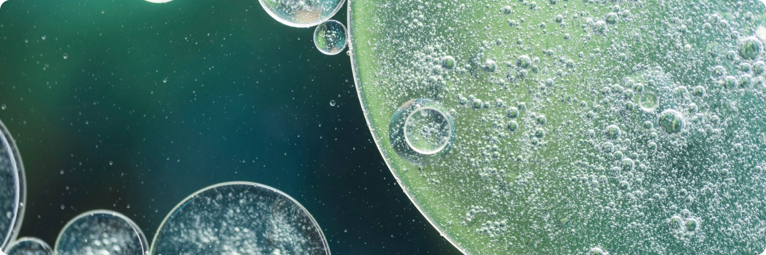 ELISA and rapid tests for rabies virus